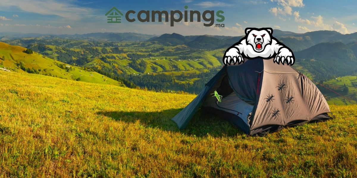 camping insecte animaux