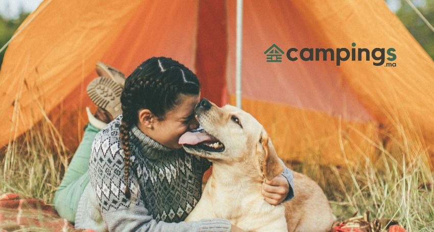 camping avec des animaux de compagnie