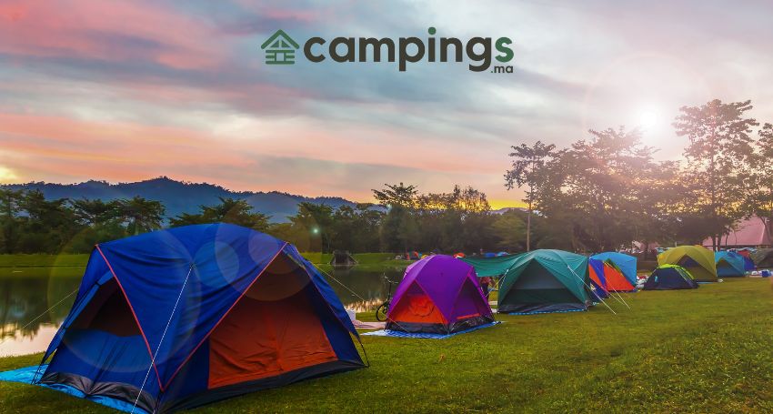 campings business