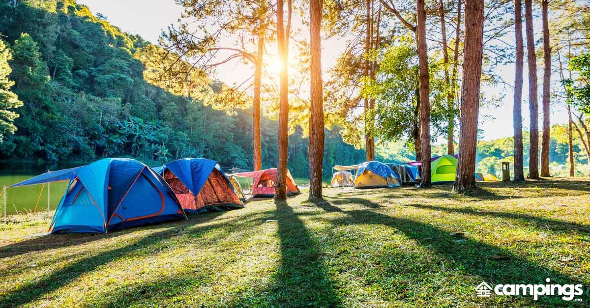 Comment se protéger des frelons et des guêpes en camping ?