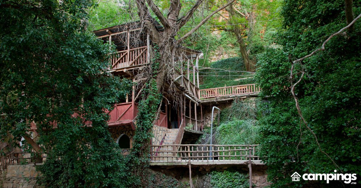 Cabanes dans les arbres et hébergements perchés
