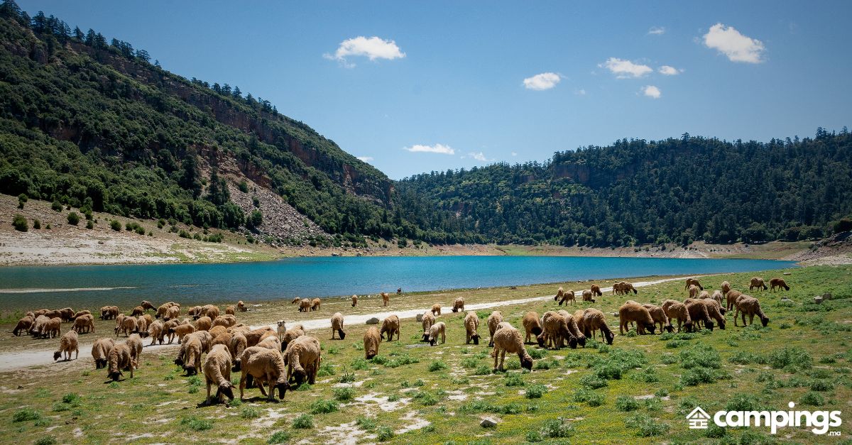 Lac Aguelman Azigza maroc