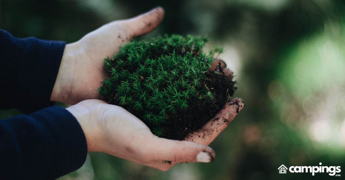 biodiversité écosystèmes fragiles