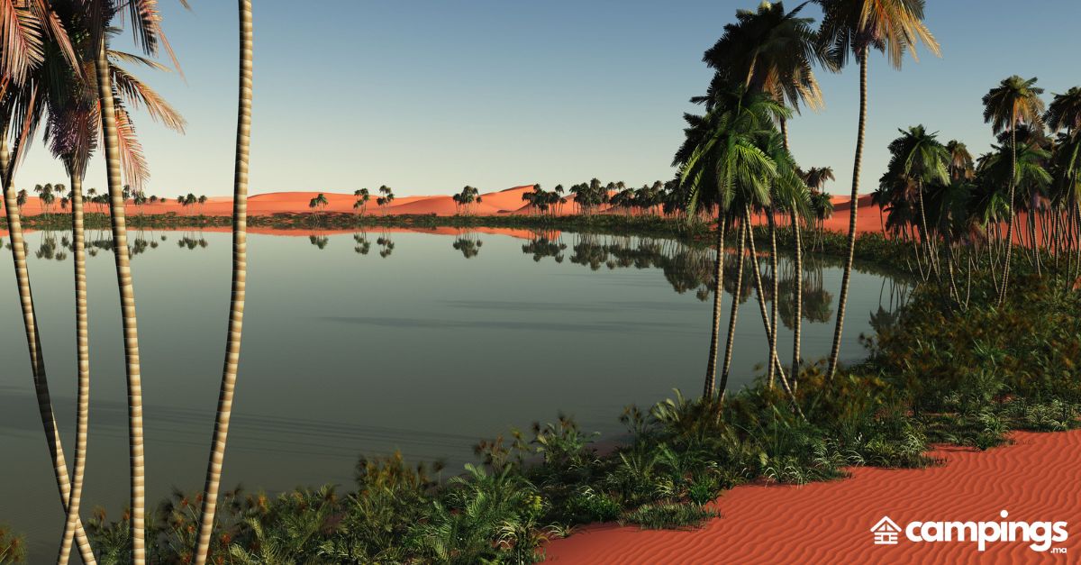 sahara maroc
