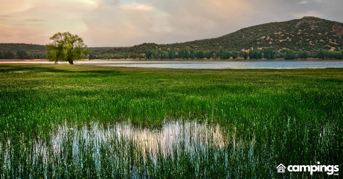 Le parc national de Talassemtane