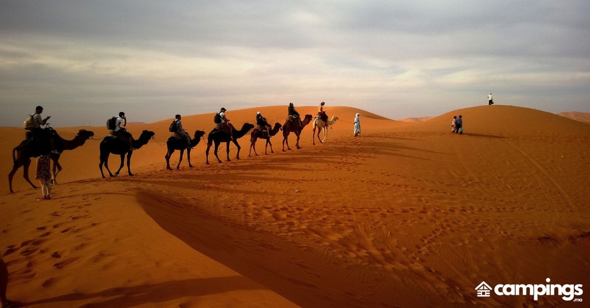 Sous les étoiles marocaines: Vélo, randonnée et camping dans le Sahara