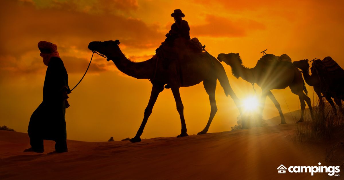 Top 10 des expériences outdoor à vivre au Maroc