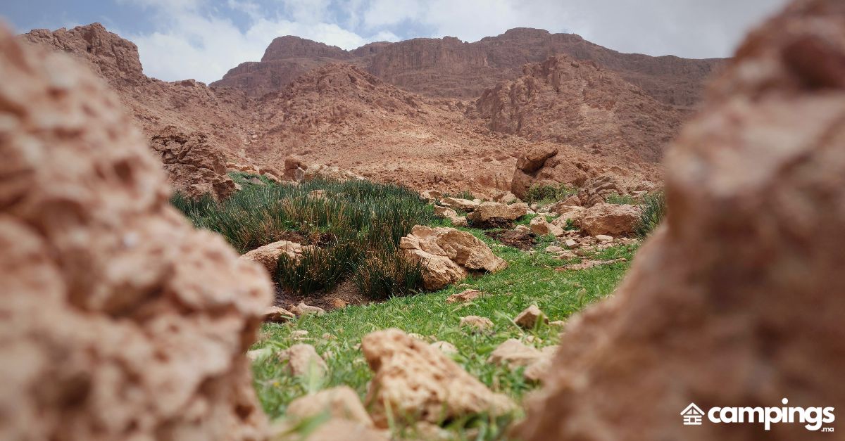 atlas marocain