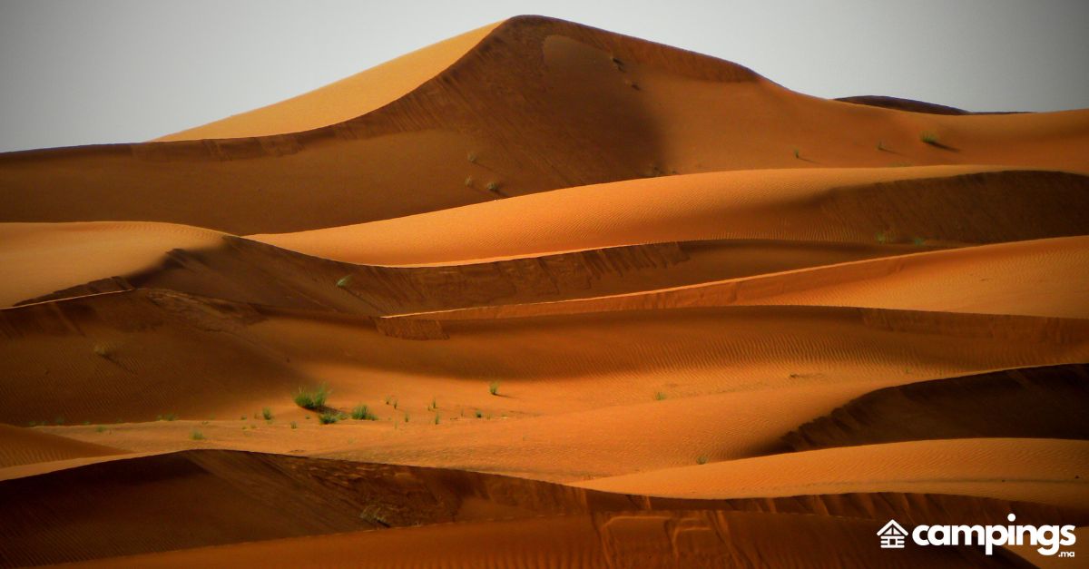 egypte dunes de Kharga