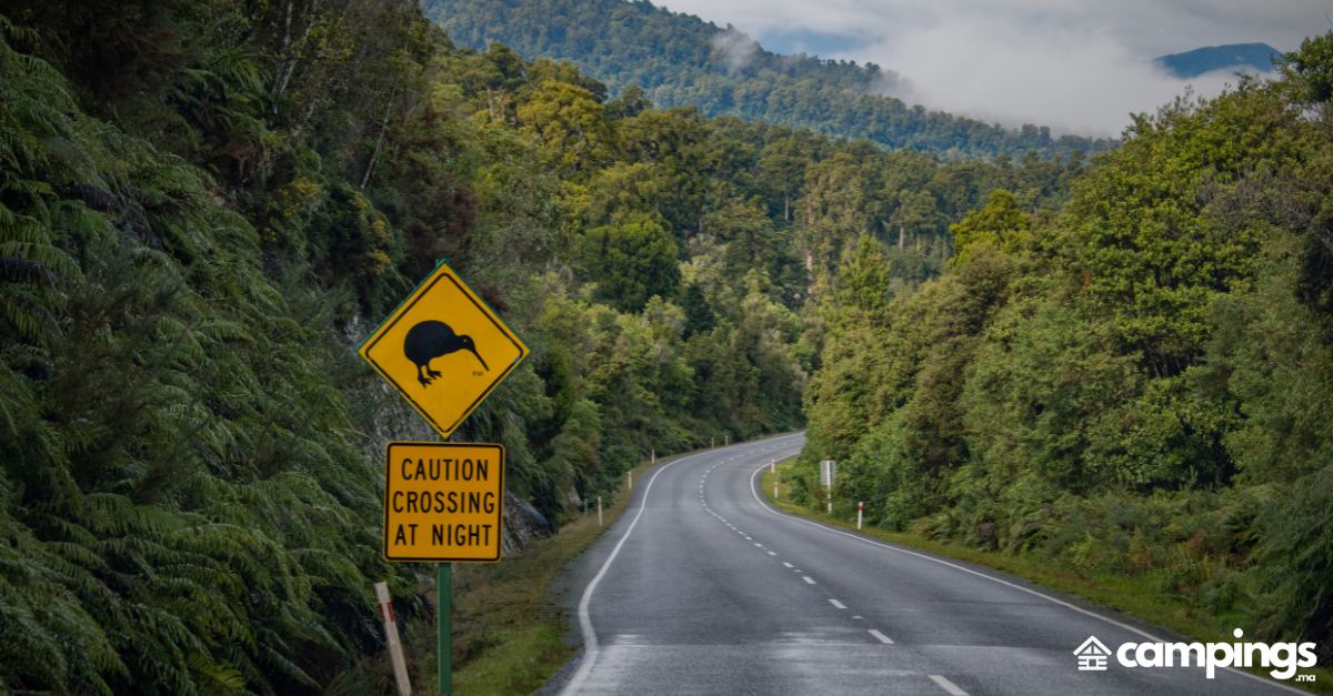 new zeland