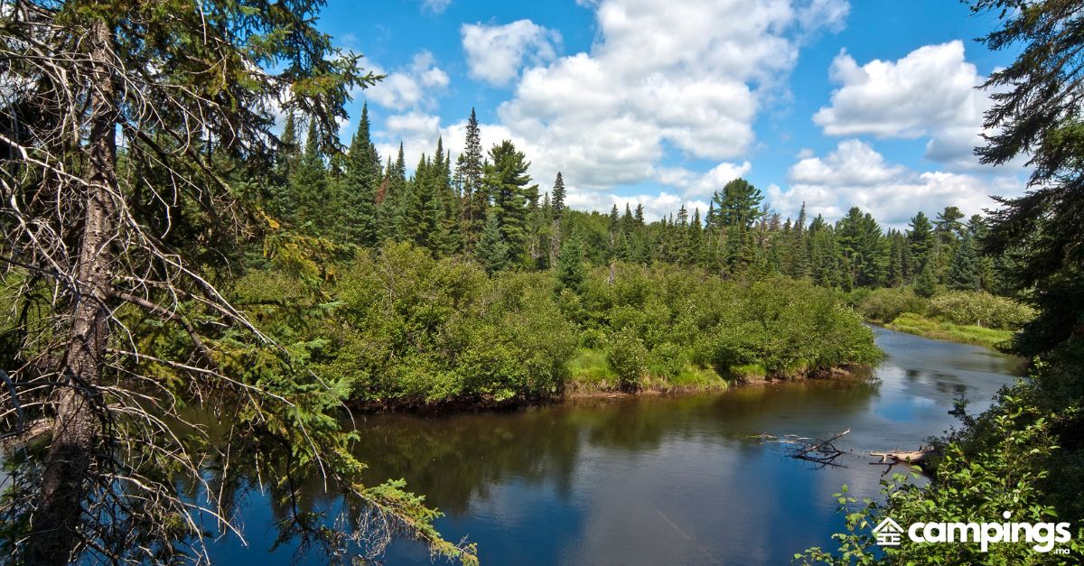 parc provincial Algonquin canada