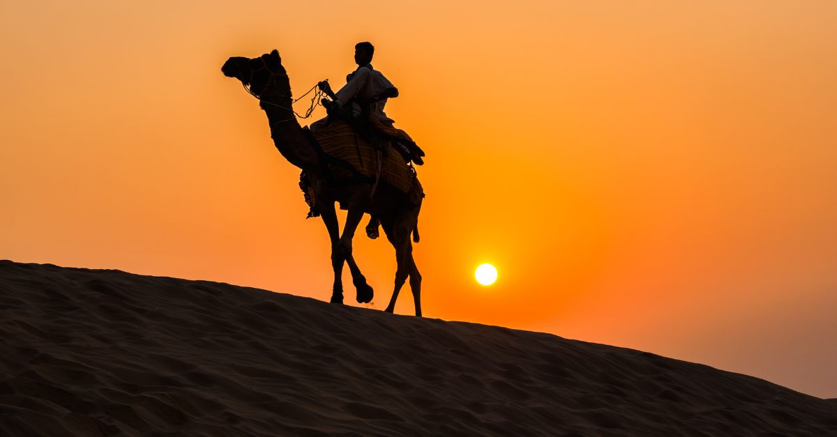 désert dromadaire maroc