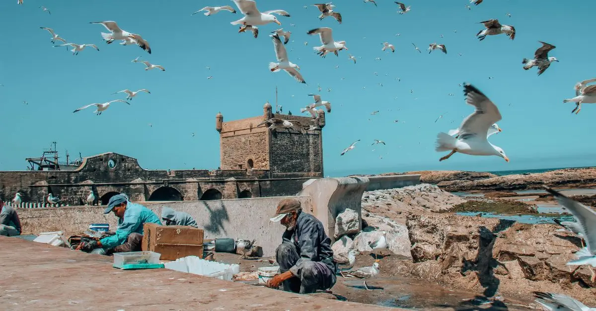 Top 10 des spots de photographie au Maroc pour pros