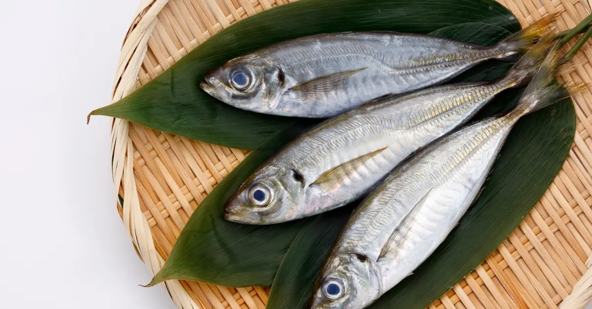 tajine de boulettes de sardines (Kouary)